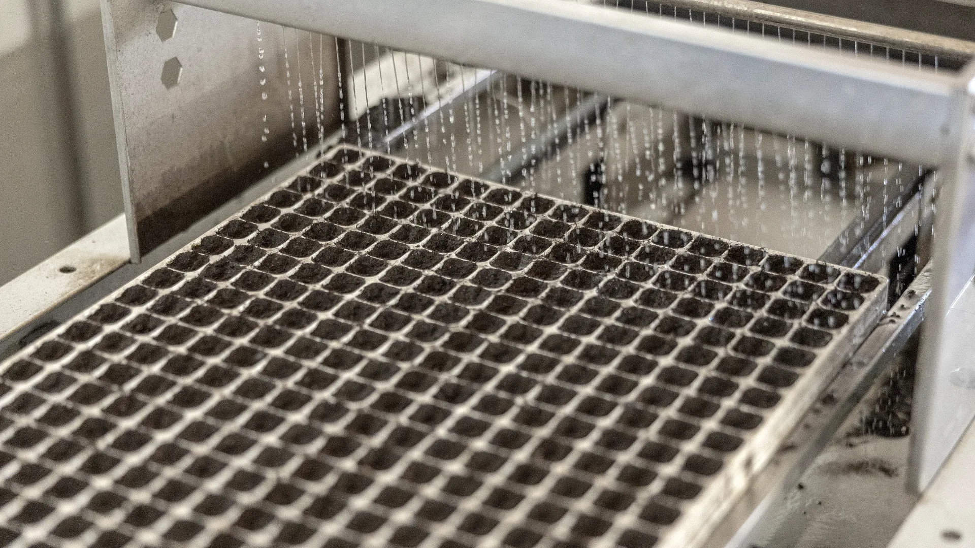 Una fase del risparmio idrico di superfarm