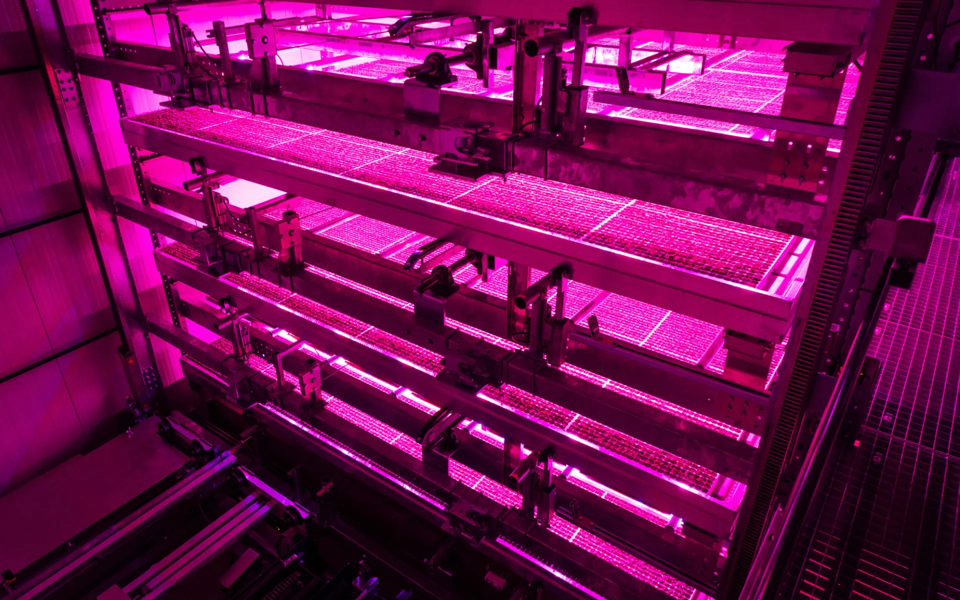 Una foto della vertical farm dall'interno